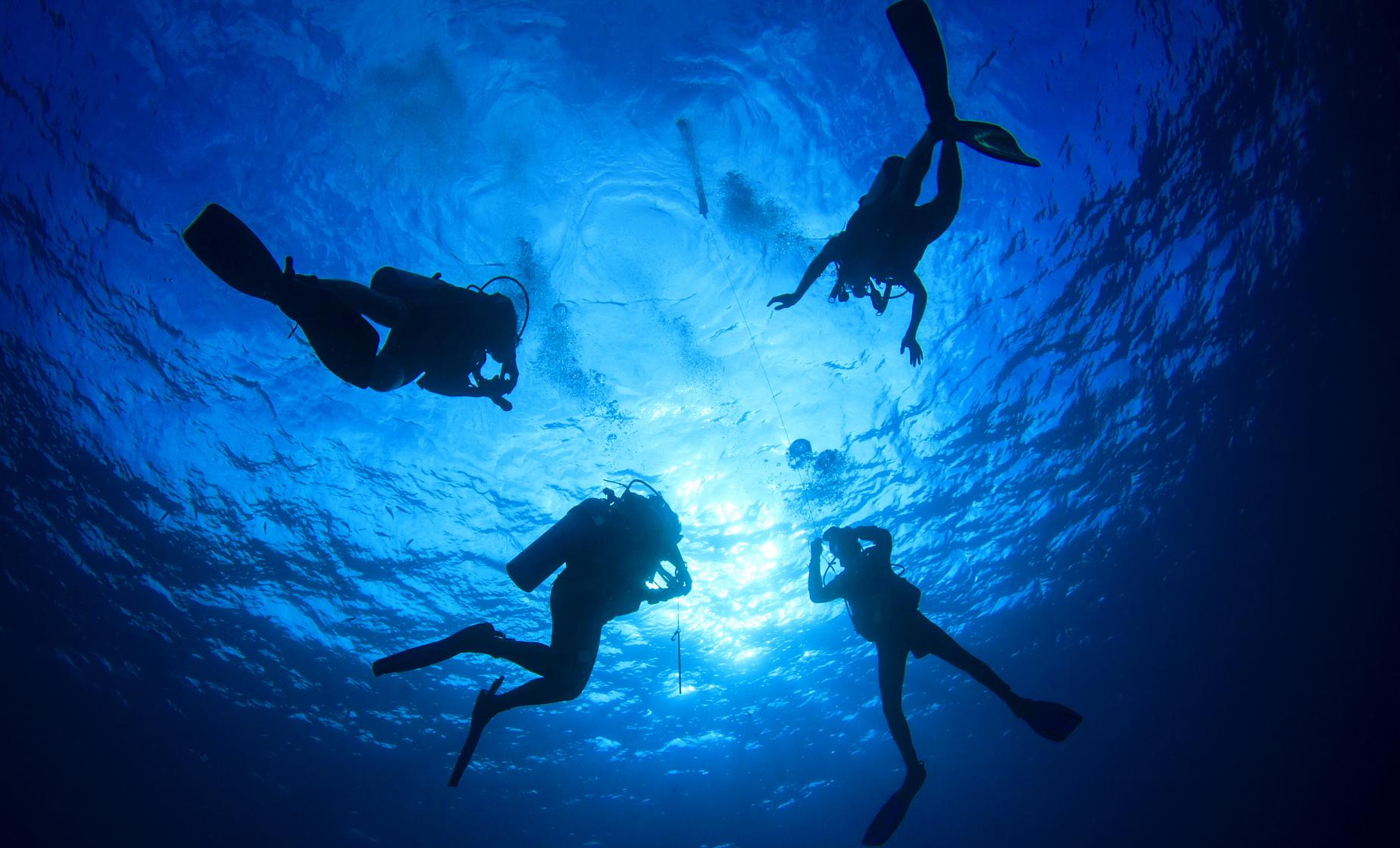 Two Tank Certified Dive - Image 1