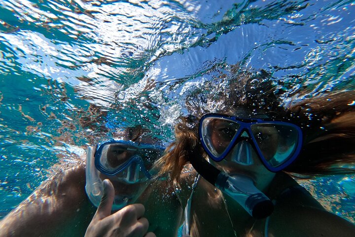 Ultimate SeaXscape Swim with Pigs/Turtles/snorkel/Lunch/Shuttle - Image 5