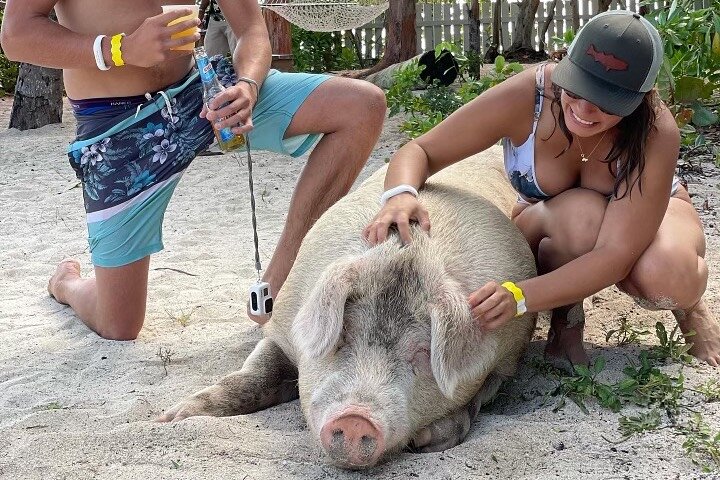 Ultimate SeaXscape Swim with Pigs/Turtles/snorkel/Lunch/Shuttle - Image 1