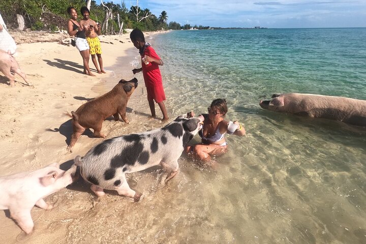 Ultimate SeaXscape Swim with Pigs/Turtles/snorkel/Lunch/Shuttle - Image 3