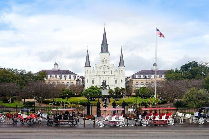 La Vie NOLA! Private New Orleans City Tour with a Native Guide - Image 2