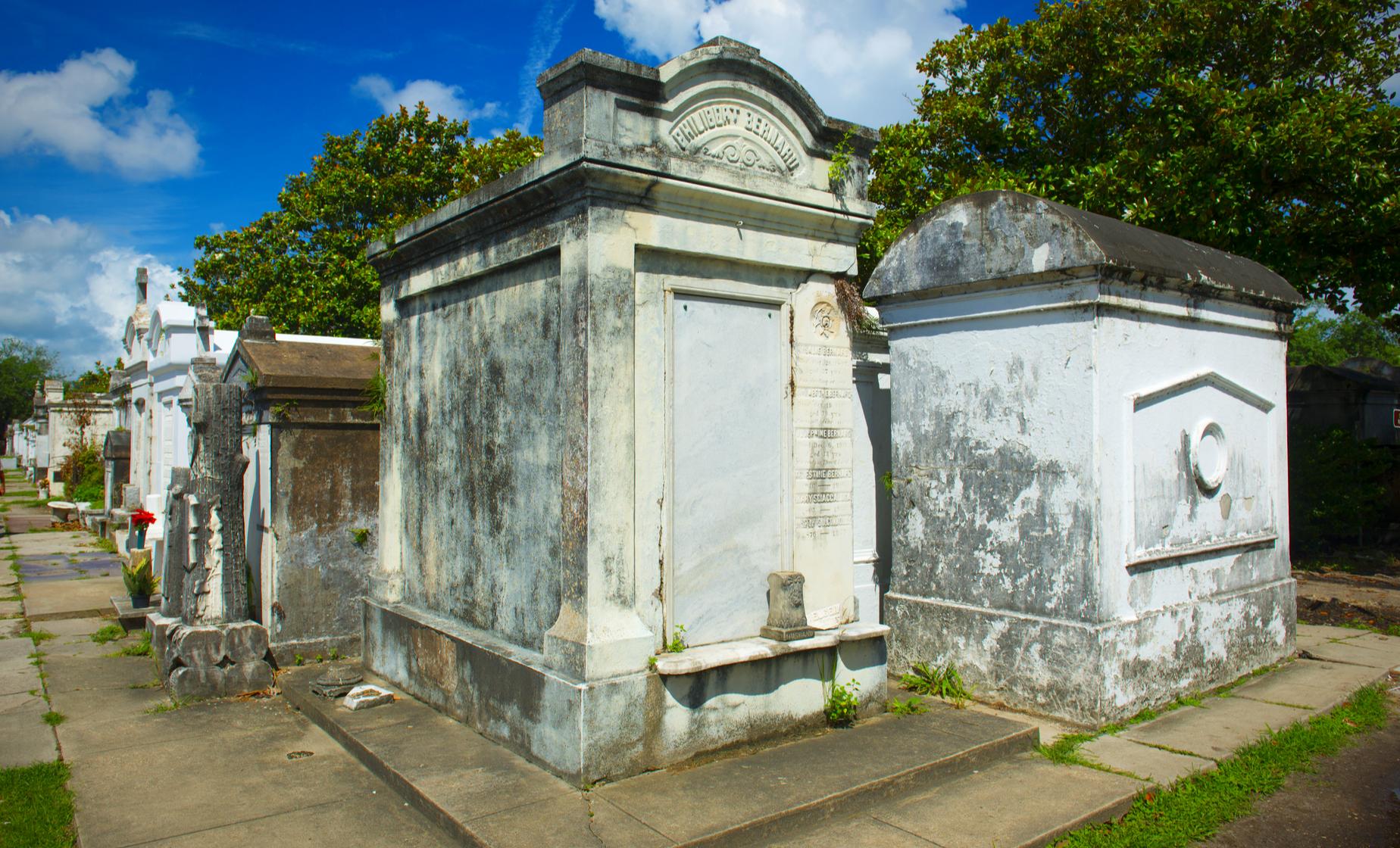 New Orleans City and Cemetery Sightseeing Tour - Image 1