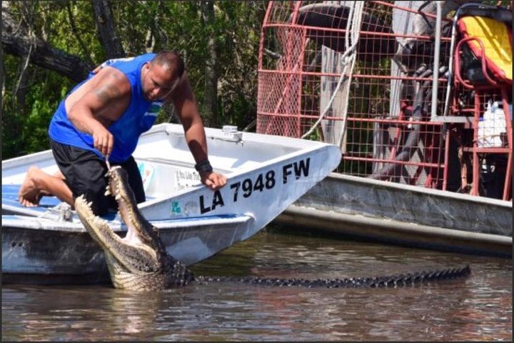Private Bachelor or Bachelorette Airboat Swamp Tour in New Orleans - Image 1