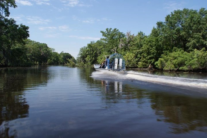 Private Bachelor or Bachelorette Airboat Swamp Tour in New Orleans - Image 2