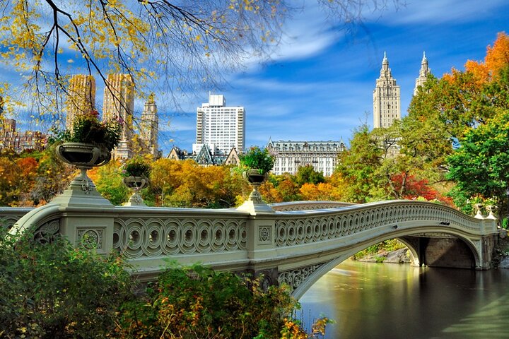 Door to door New York City Attractions! Comfort Private Tours. - Image 2