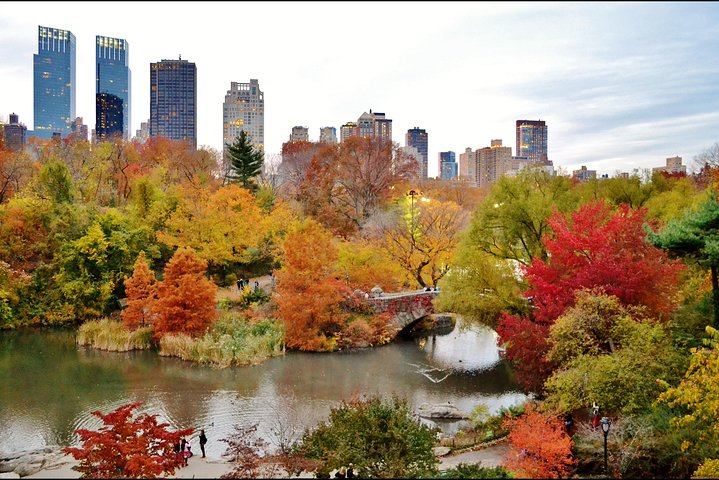 New York City Tour with Driver-Guide and Separate Guide Option - Image 3