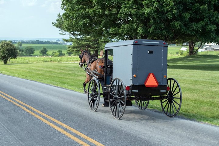 Private New York Day Trip to Amish Country with Amish Mennonite Guides - Image 5