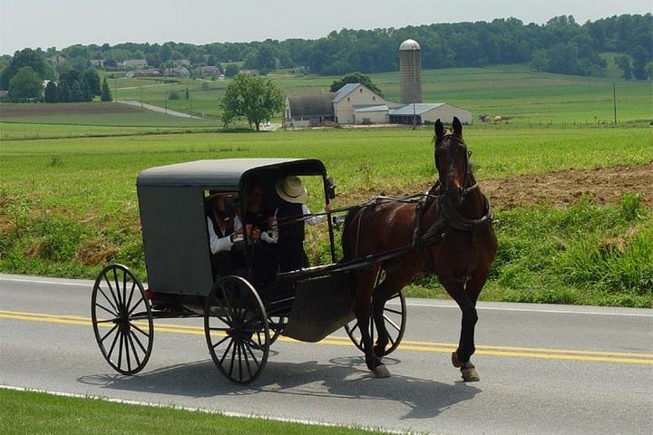 Private New York Day Trip to Amish Country with Amish Mennonite Guides - Image 2
