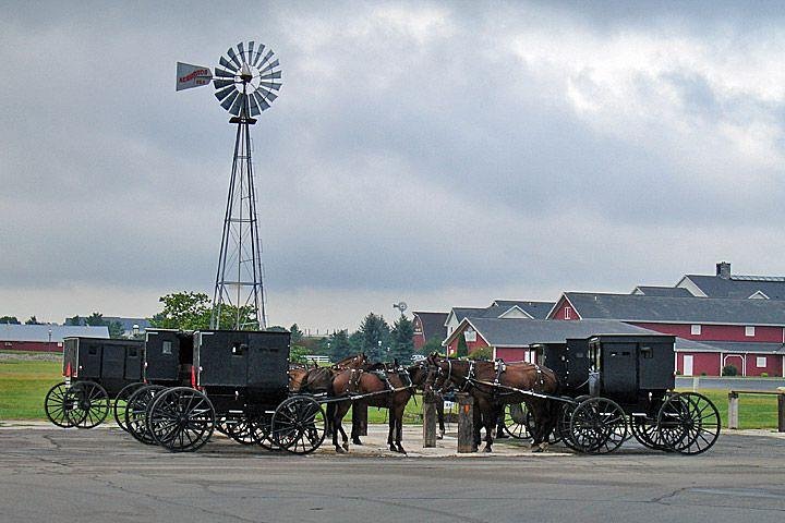 Private New York Day Trip to Amish Country with Amish Mennonite Guides - Image 1