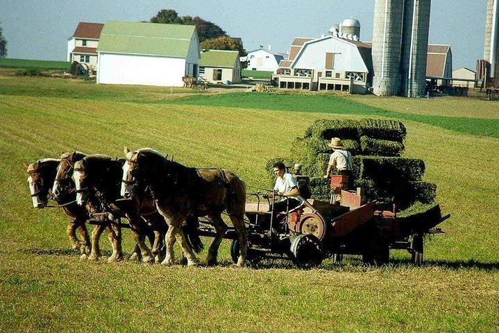 Private New York Day Trip to Amish Country with Amish Mennonite Guides - Image 4