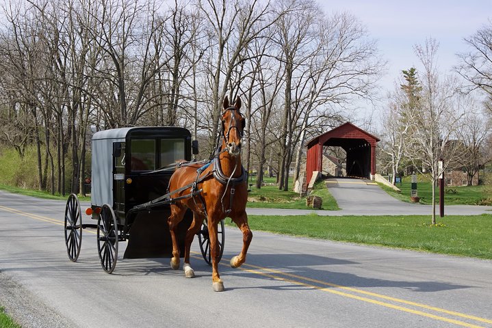 Private New York Day Trip to Amish Country with Amish Mennonite Guides - Image 3