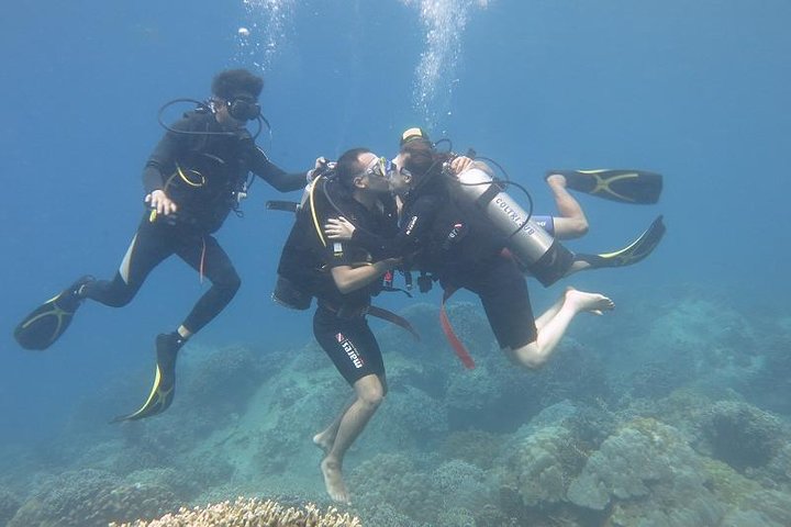 Discover Nha Trang Bay with Scuba Diving Tour - Image 1
