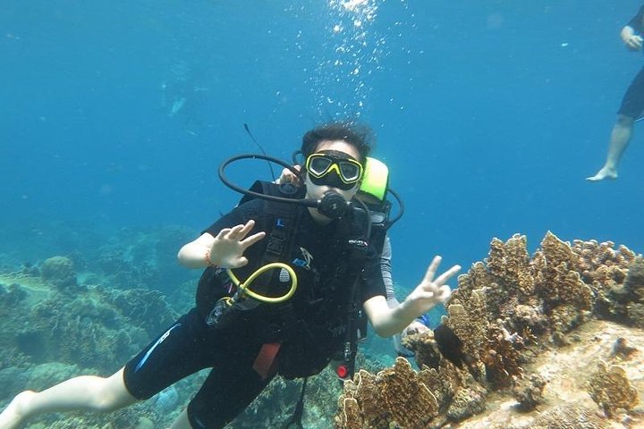 Discover Nha Trang Bay with Scuba Diving Tour - Image 2