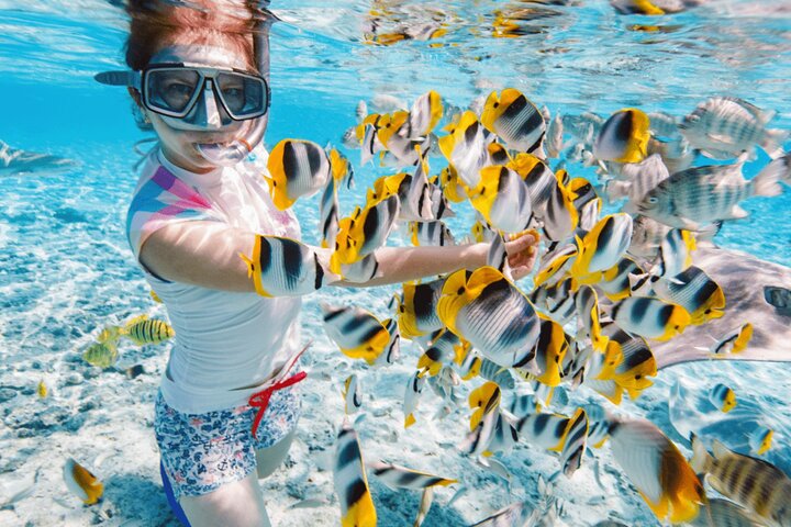 Join Group Tour Nha Trang Snorkeling Included Lunch Onboard - Image 2