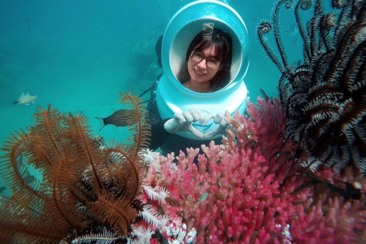 Join Group Tour Nha Trang Snorkeling Included Lunch Onboard - Image 5