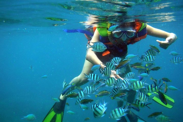 Nha Trang Bay Private Boat Tour - Image 2