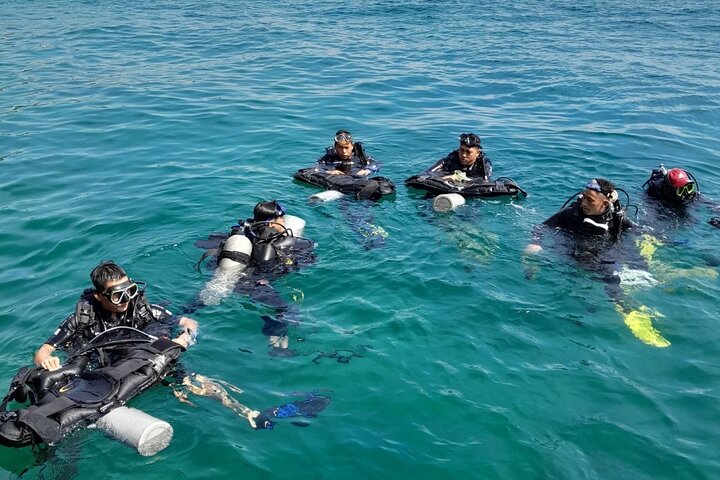 Nha Trang Island tour:snorkeling at Coral Bay-Con se Tre-Dong tam - Image 4