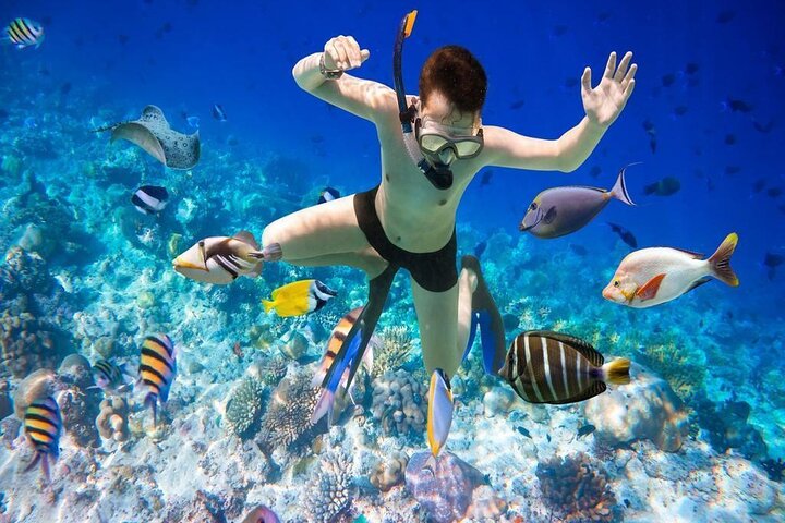 One Day Explore Nha Trang Islands & Join Floating Bar - Image 5
