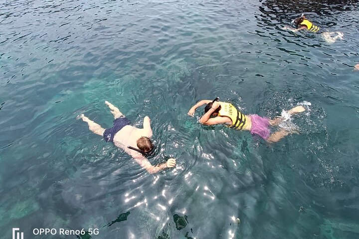 Premium snorkel trip & island hopping-SPEEDBOAT(MAX 8 or PRIVATE) - Image 5