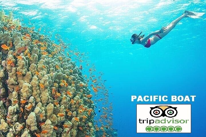 Premium snorkel trip & island hopping-SPEEDBOAT(MAX 8 or PRIVATE) - Image 1