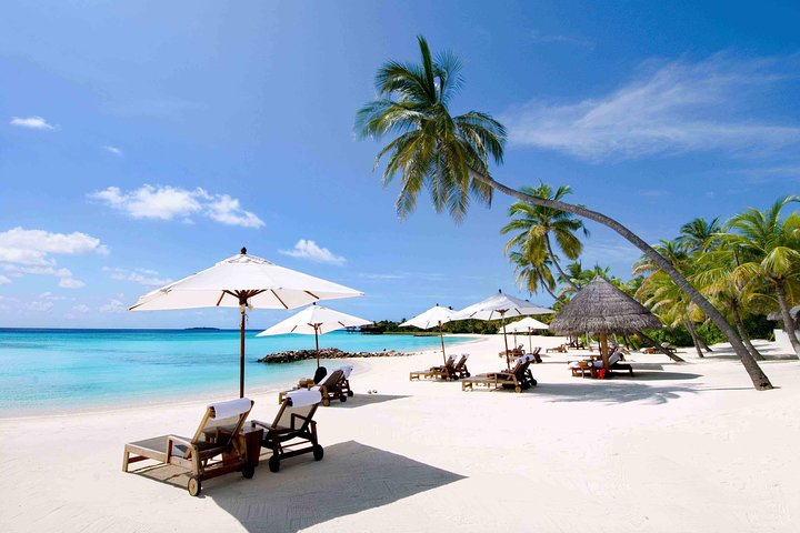 Private Nha Trang Full day City Tour - Image 1