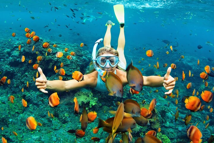 Private Snorkeling Guided Tour At Marine Protected Area Included Lunch - Image 1