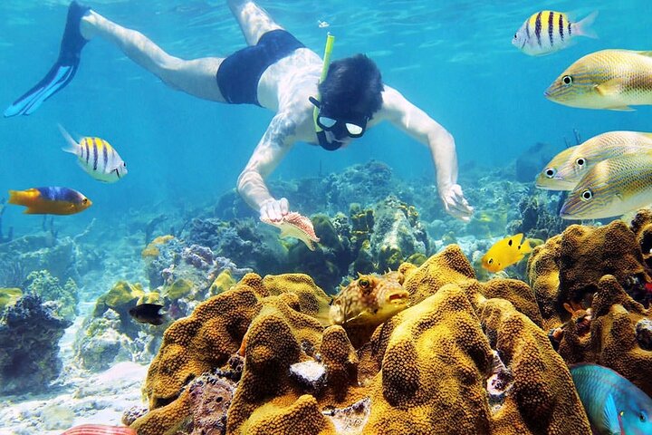 Private Tour Explore Nha Trang Islands - Snorkeling - Basket Boat - Image 2