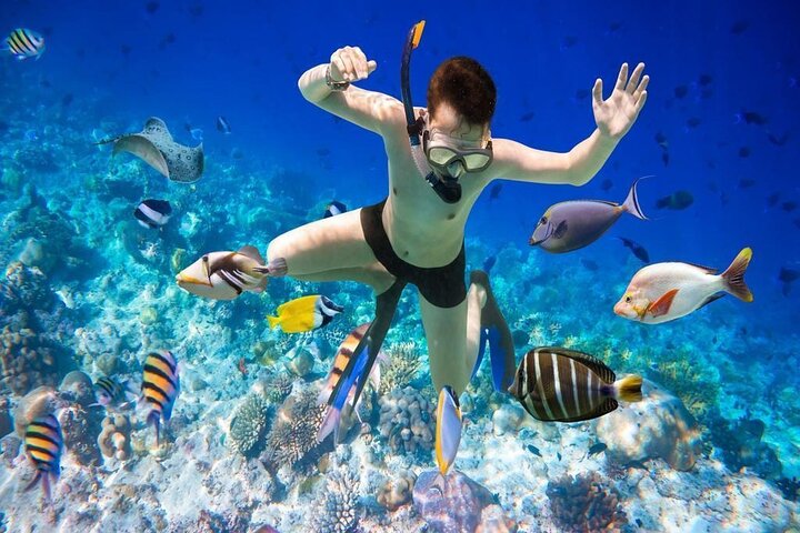 Private Tour Explore Nha Trang Islands - Snorkeling - Basket Boat - Image 4