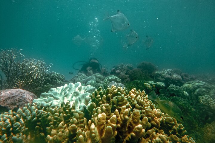 Sea Walking Nha Trang  - Image 5