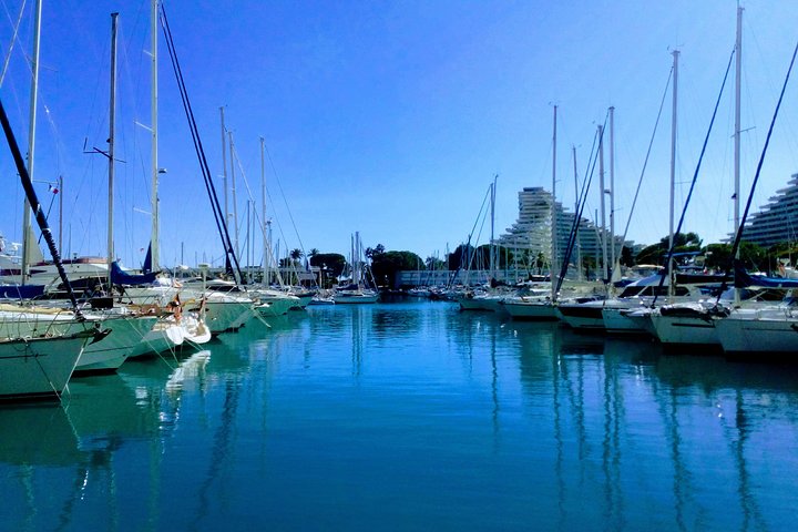 Antibes,Cannes,Eze,Monaco,Monte Carlo private tour - Image 4