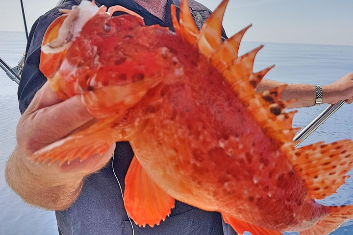 Boat Fishing Trip - Image 5