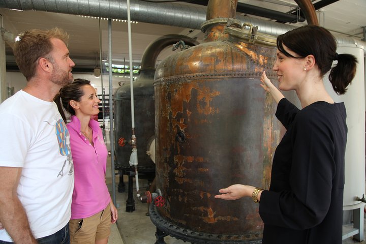Grasse, Gourdon, Valbonne and Wine Tasting Full-day from Nice Small-Group Tour - Image 4