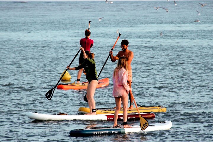 Paddle on the French Riviera Nice and Near CAP3000 - Image 2