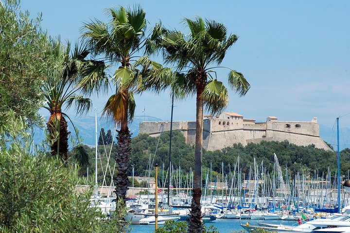Private Customized Half-Day tour from Monaco, Nice, or Cannes - Image 1