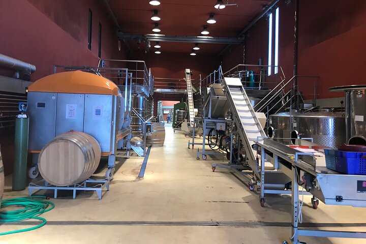 Private Tour of 2 Estates with Wine Tasting in French Riviera - Image 3