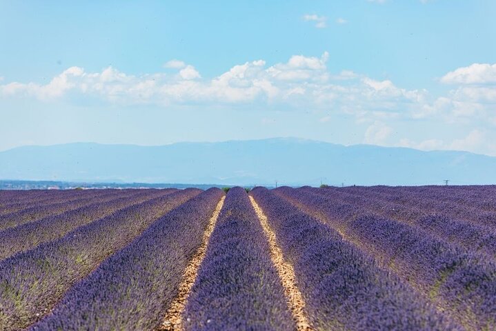 Private Tour of Gorges of Verdon and Fields of Lavender in Nice - Image 5