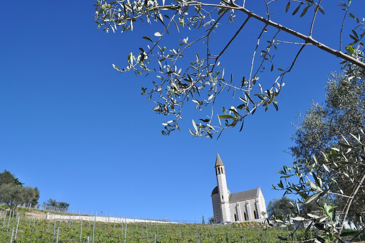 Private Wine Tour of the vineyards on the French Riviera - Image 2
