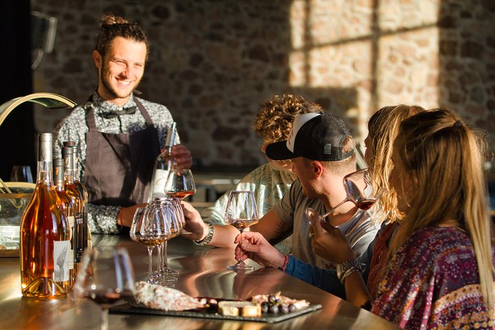 Private Wine Tour of the vineyards on the French Riviera - Image 1