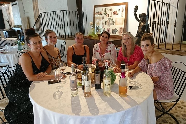 Private Wine Tour of the vineyards on the French Riviera - Image 5