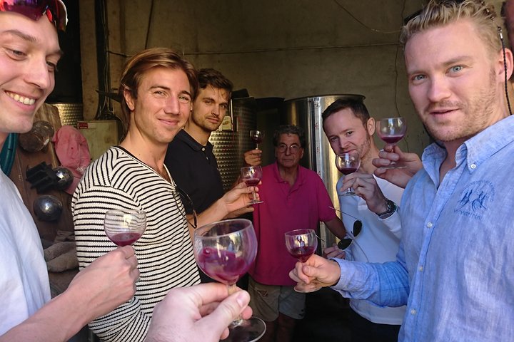 Private Wine Tour of the vineyards on the French Riviera - Image 3