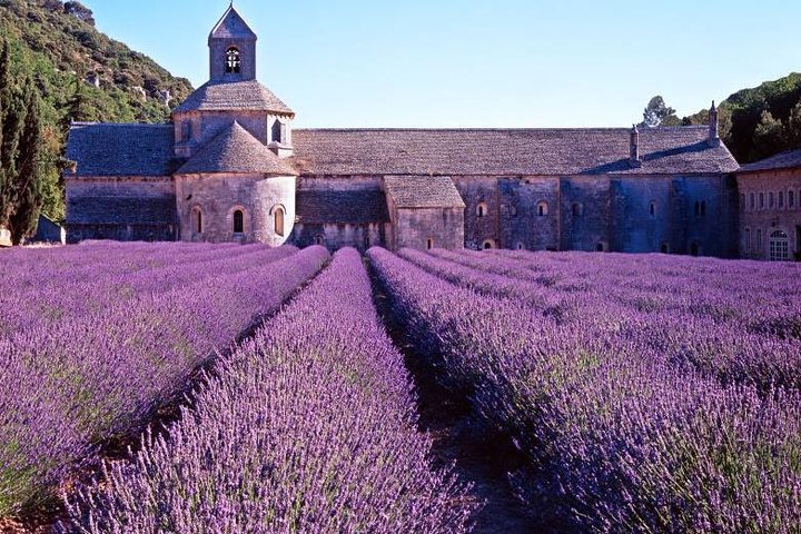 Provence Countryside Full-Day Private Tour from Nice - Image 2