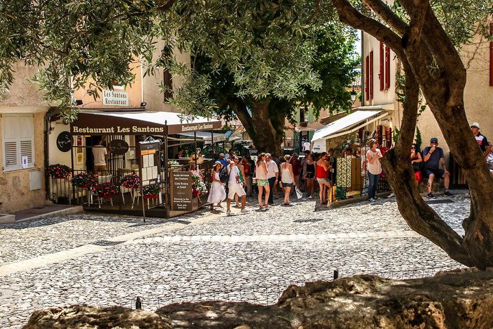 Provence – Lavender Fields Private Extended Full-Day Tour - Image 3