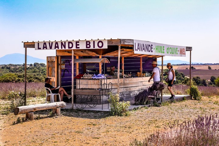 Provence – Lavender Fields Private Extended Full-Day Tour - Image 2