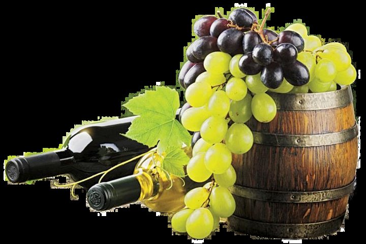 provence wine tasting - Image 3