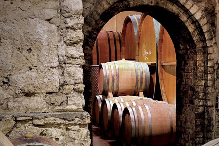 provence wine tasting - Image 4