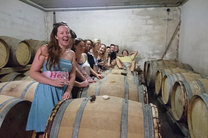 Provence Wine Tour - Private Day Tour from Cannes/Mougins  - Image 5