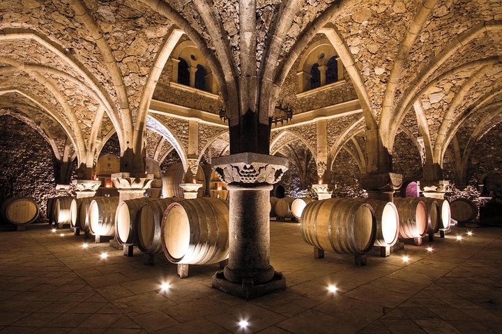 Provence Wine Tour - Private Day Tour from Cannes/Mougins  - Image 4