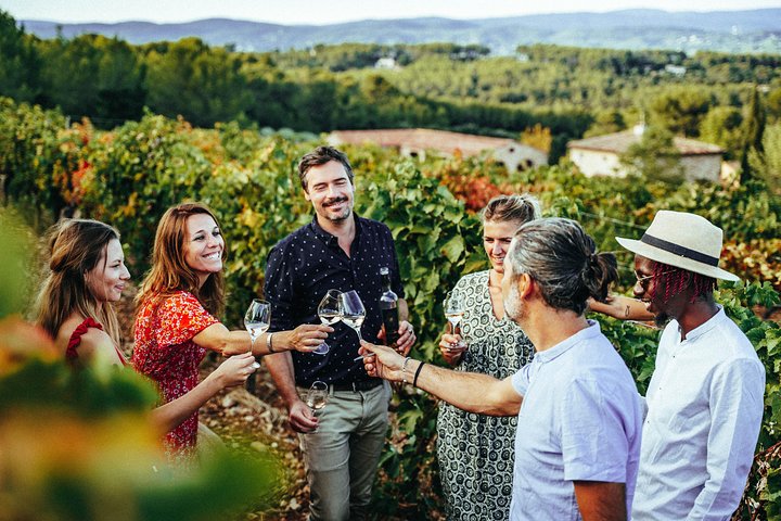 Provence Wine Tour - Private Day Tour from Nice - Image 1