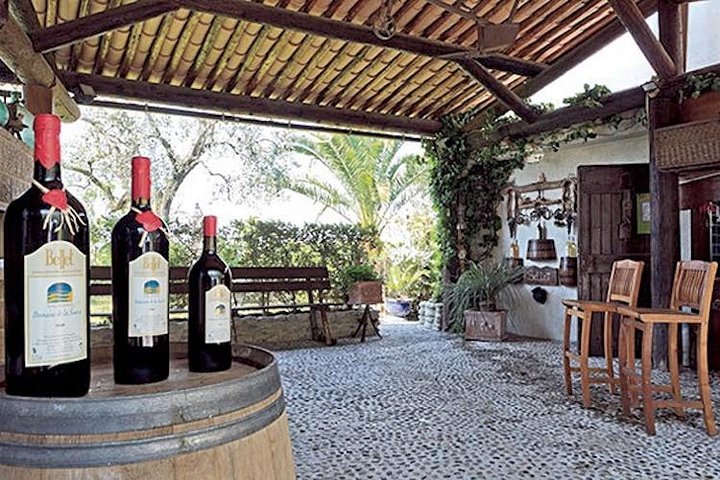 the Bellet wine tasting - Image 2
