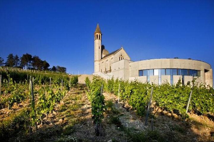 the Bellet wine tasting - Image 3